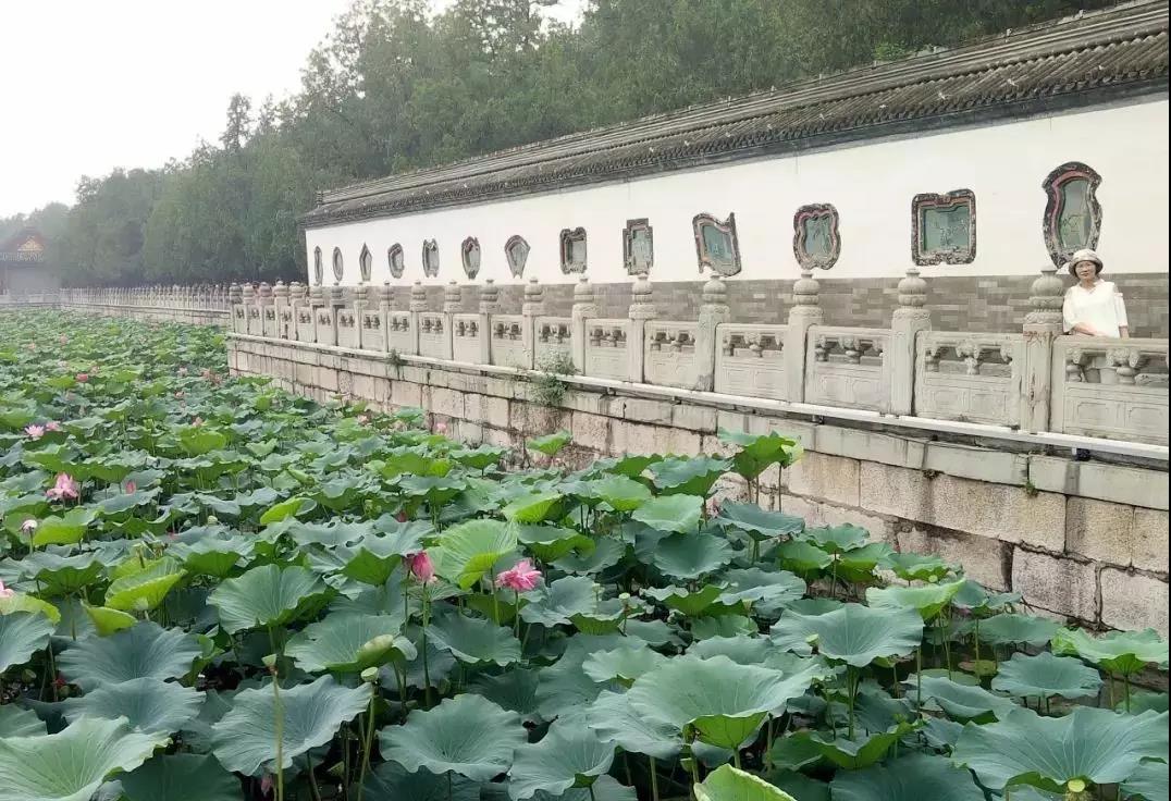 我與北京的心悅約會(huì) &mdash;&mdash;記南昌民德學(xué)校初中部北京研學(xué)活動(dòng)（二）